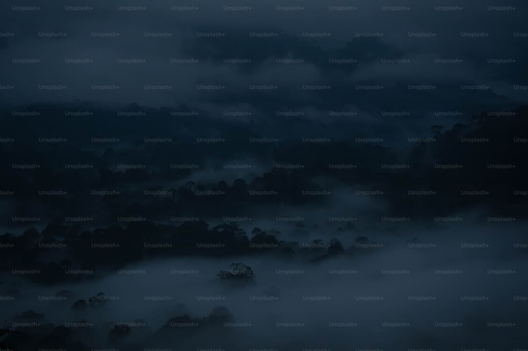 从外贸看中国经济耐性